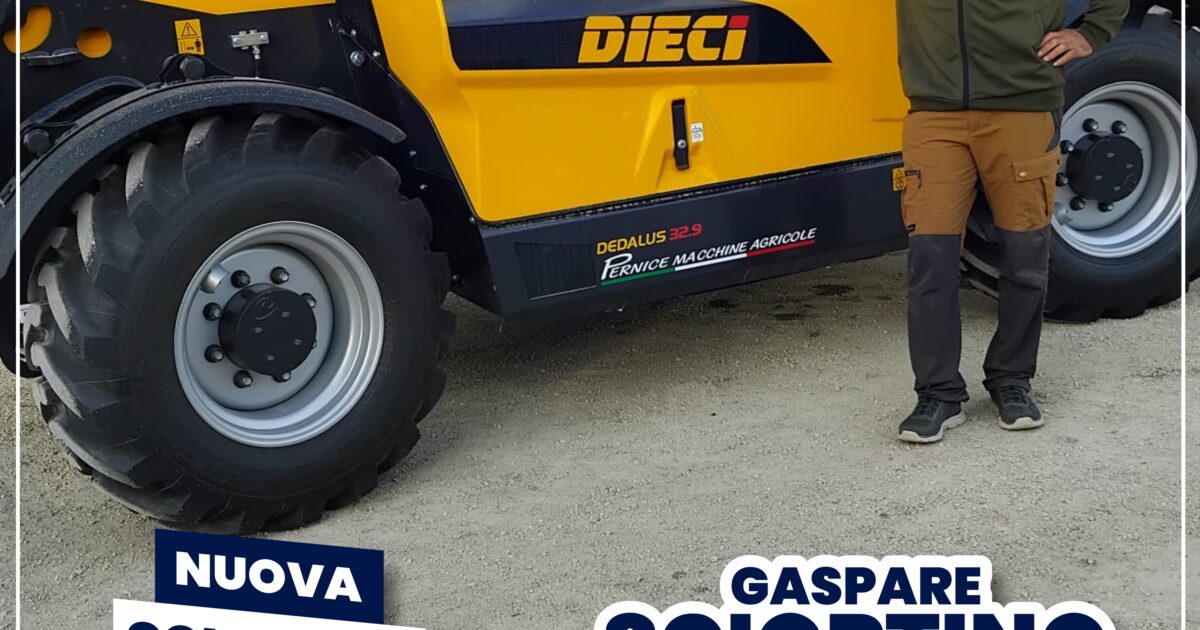 Sollevatrore DIECI Dedalus 32.9